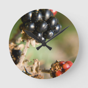Horloge Ronde Berries d'automne