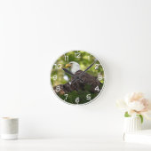 Horloge Ronde Bientôt Eagle (Maison)