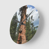 Horloge Ronde Big Red Tree, La Pine OU (Angle)