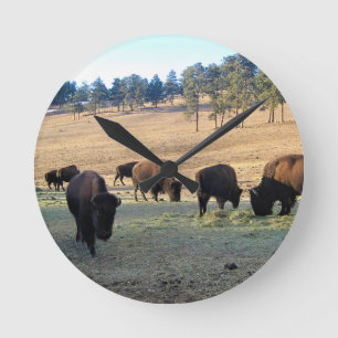 Horloge Ronde Bison dans le Colorado
