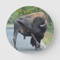 Bison Taureau Drôle Lique Ses Testicules