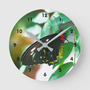 Horloge Ronde Black Butterfly Nature