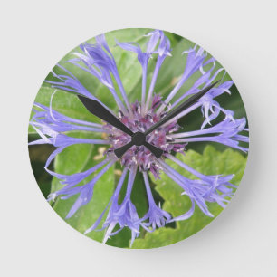 Horloge Ronde Blue Cornflower Wall Clock