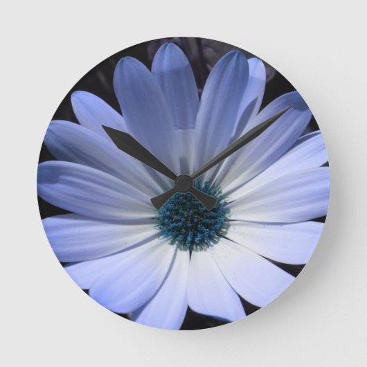 Horloge Ronde Blue Daisy Flower Wall Clock (Recto)