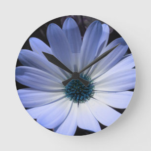 Horloge Ronde Blue Daisy Flower Wall Clock