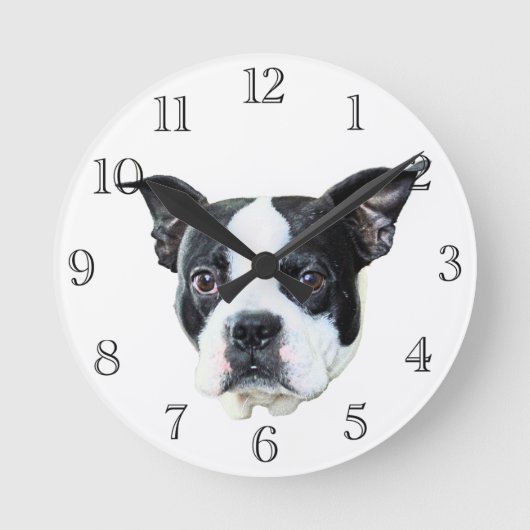 Horloge Ronde Boston terrier (Recto)