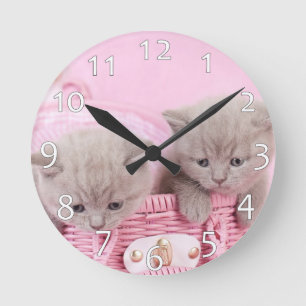 Horloge Ronde British shorthair kittens