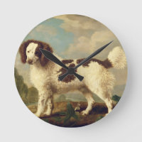 Brown et blanc Norfolk ou Water Spaniel, 1778 (oi