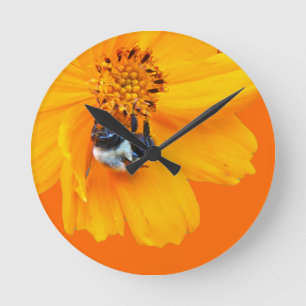 Horloge Ronde Bumblebee sur Cosmos