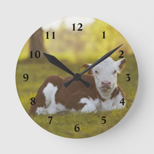 Horloge Ronde Calf Repose (Recto)