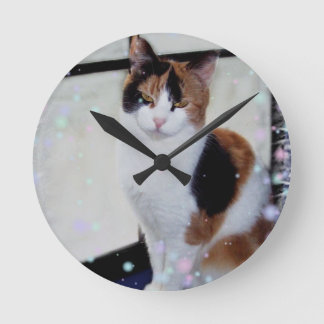 Horloge Ronde Calico Cat