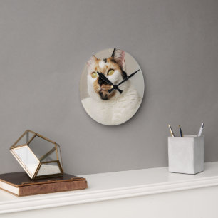 Horloge Ronde Calico Cat