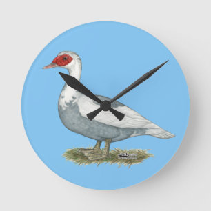Horloge Ronde Canard de Barbarie à pieds bleus