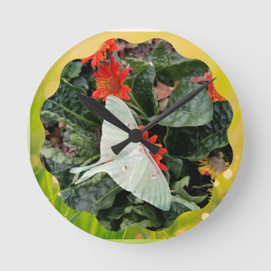 Horloge Ronde Captivant Luna Moth   (Recto)