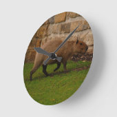Horloge Ronde capybara (Angle)