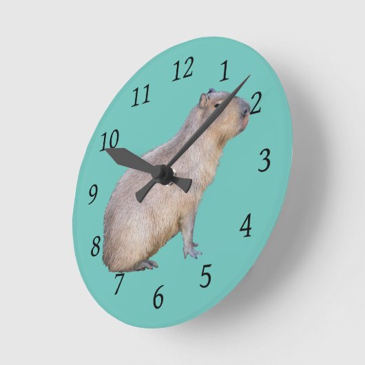 Horloge Ronde Capybara (Angle)