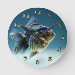 Horloge Ronde Carassius de poissons aquatiques