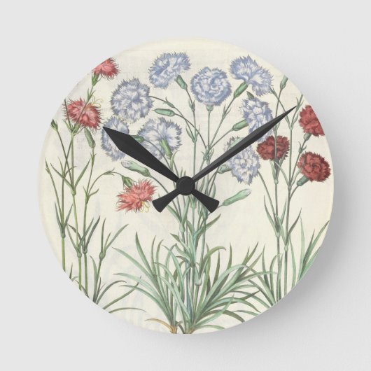 Horloge Ronde Carnations: 1.Caryophyllus multiplex flore albo; 2 (Recto)