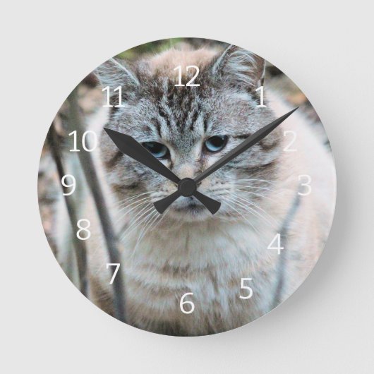 Horloge Ronde Cat (Recto)