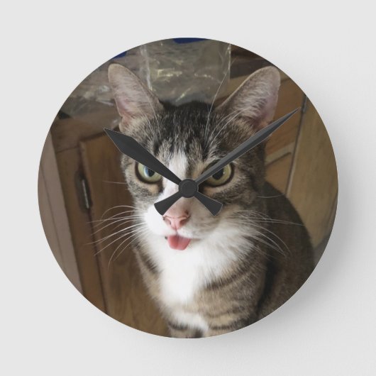 Horloge Ronde Cat (Recto)