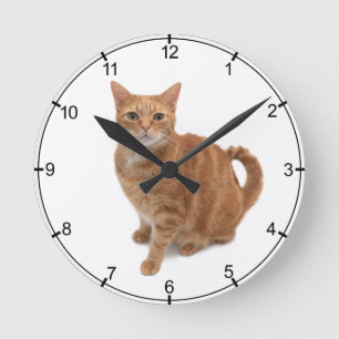 Horloge Ronde Cat d'Orange debout