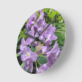 Horloge Ronde Catawbiense Boursault Rhododendrons, Oregon (Angle)