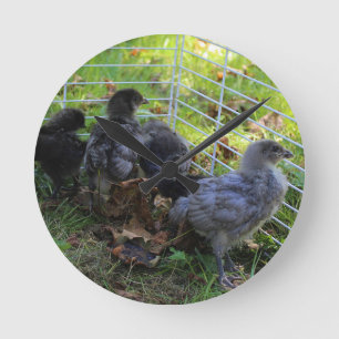 Horloge Ronde Ce qui est - bout de poulet