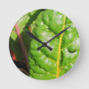 Horloge Ronde Chaînes suisses