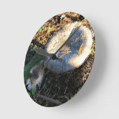 Horloge Ronde Champignons, Oregon (Angle)