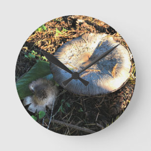 Horloge Ronde Champignons, Oregon
