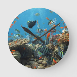 Horloge Ronde Chaos tropical de poissons