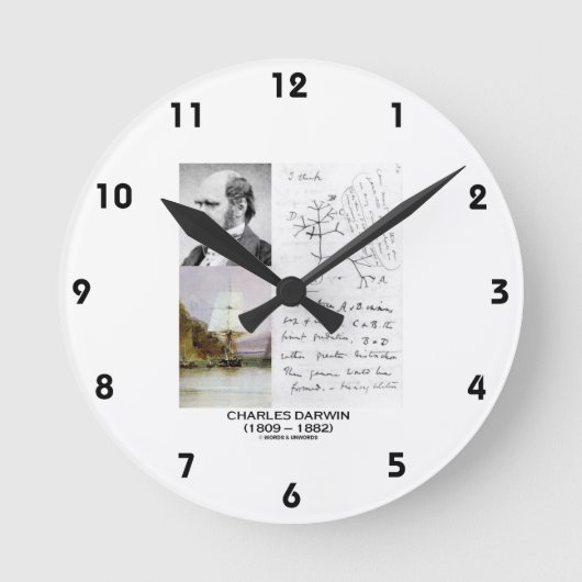 Horloge Ronde Charles Darwin (Phylogénétique Beagle Darwin HMS) (Recto)