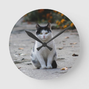 Horloge Ronde Chat, Blanc, Animaux