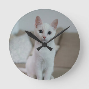 Horloge Ronde chat blanc Zazzle_Growshop.