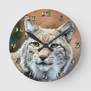 Horloge Ronde Chat de prédateur de faune de chat sauvage de Lyn