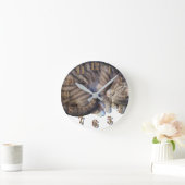 Horloge Ronde Chat enroulé en dormant mignon confortable (Maison)
