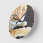 Horloge Ronde Chat orange en gros plan (Angle)