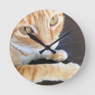 Horloge Ronde Chat orange en gros plan