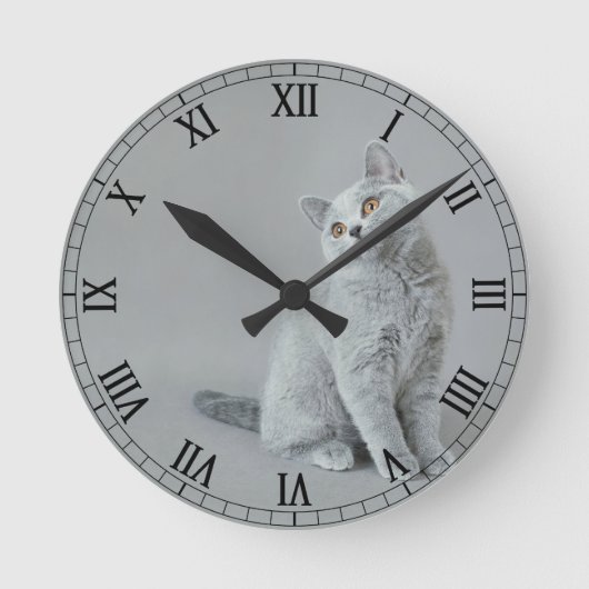 Horloge Ronde chaton britannique shorthair (Recto)