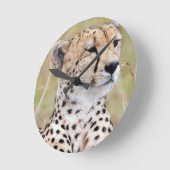 Horloge Ronde Cheetah (Angle)