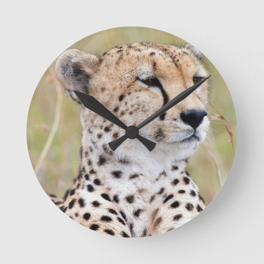 Horloge Ronde Cheetah (Recto)