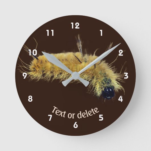 Horloge Ronde Chenille de la Noctuelle Jaune Personnalisée (Recto)