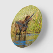 Horloge Ronde Chesapeake Bay Retriever Hunting Dog Wall Clock (Angle)