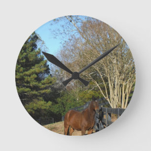 Horloge Ronde Cheval Brown contre une barrière