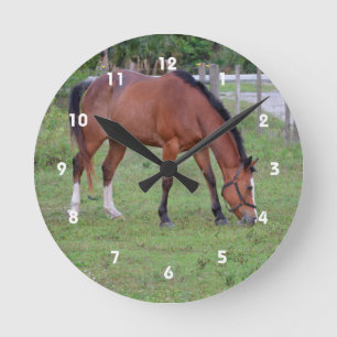 Horloge Ronde cheval brun et blanc frôlant l'animal équin