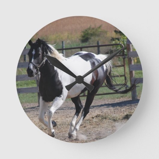 Horloge Ronde Cheval Pinto Paint (Recto)