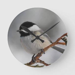 Horloge Ronde Chickadee