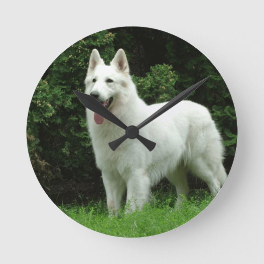 Horloge Ronde Chien de Berger Blanc Suisse (Recto)