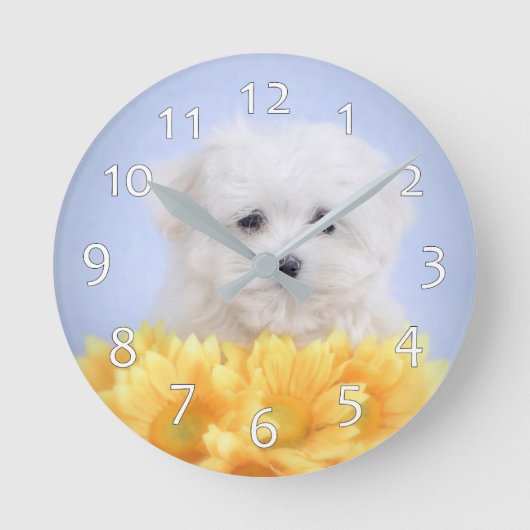 Horloge Ronde Chien maltais (Recto)