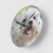 Horloge Ronde Chien maltais blanc (Angle)
